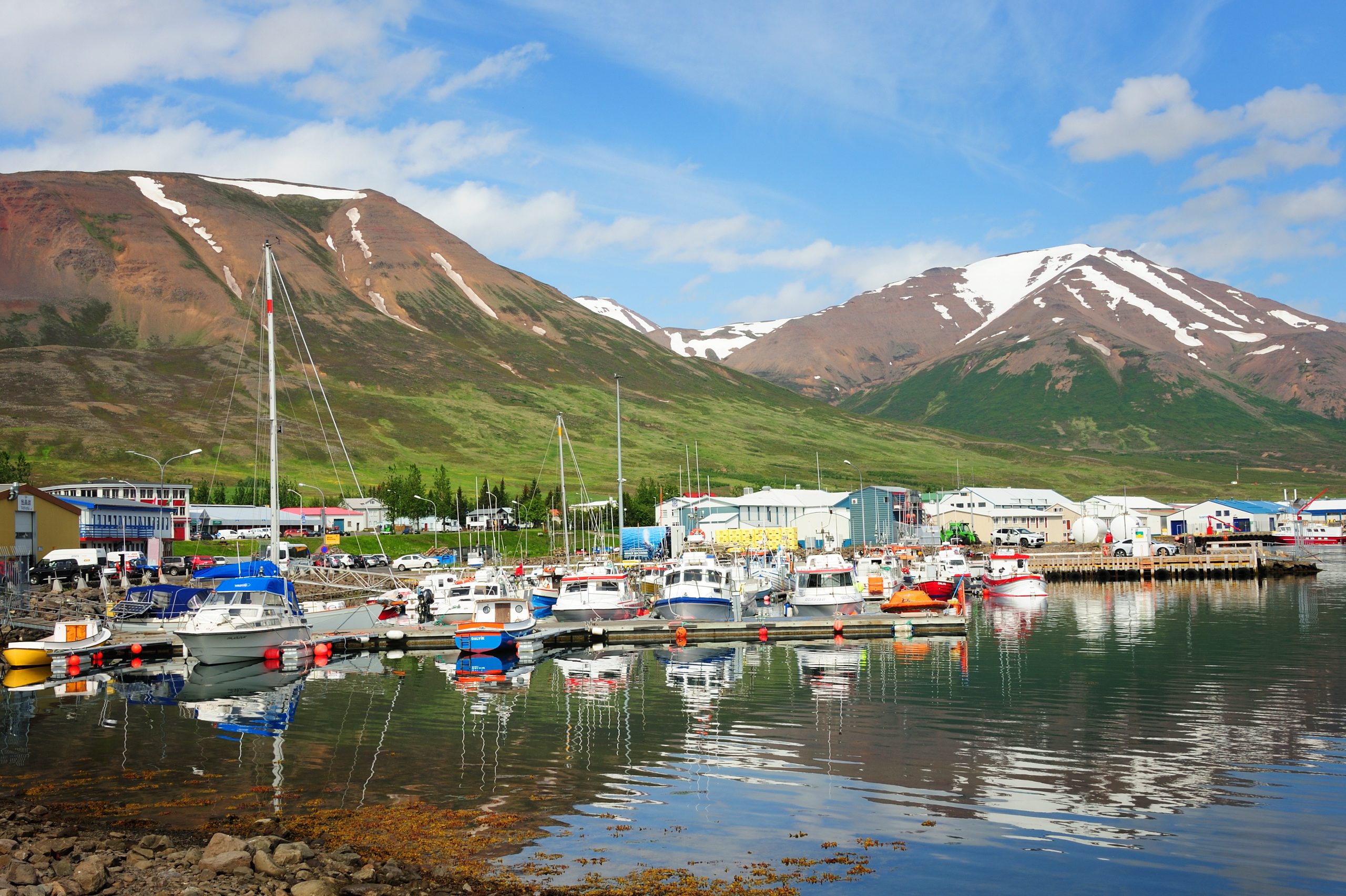Rætur Sæplast á Dalvík