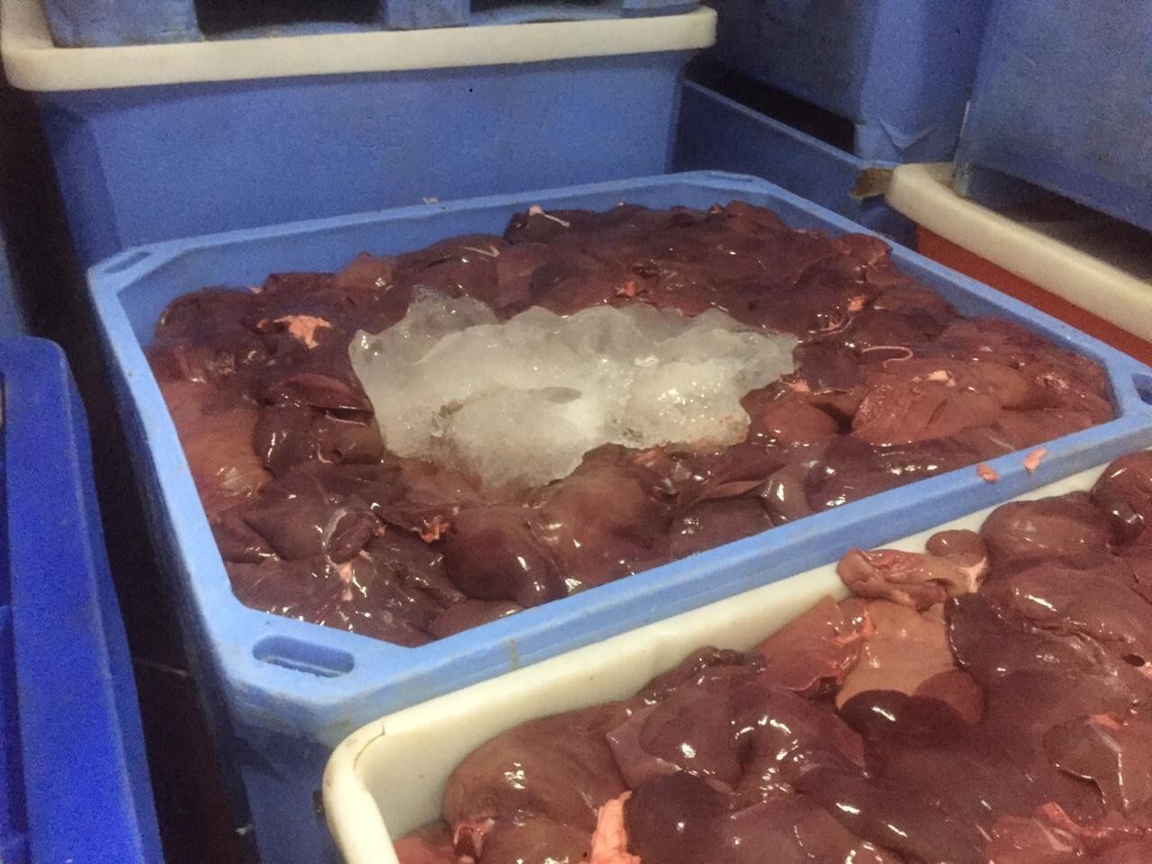 picture 3 - 660 PE with liver in it