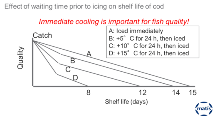 catch cooling graphc