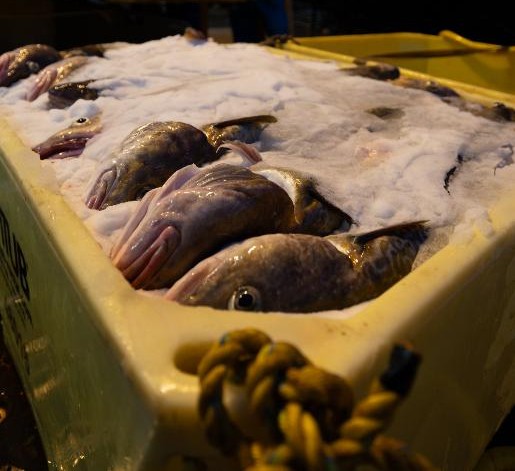 cod in tub