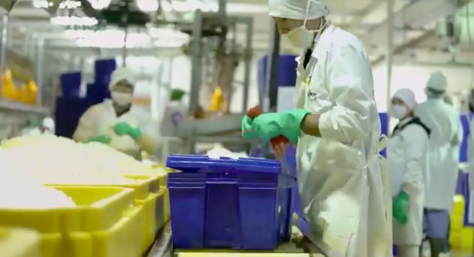processing line 2