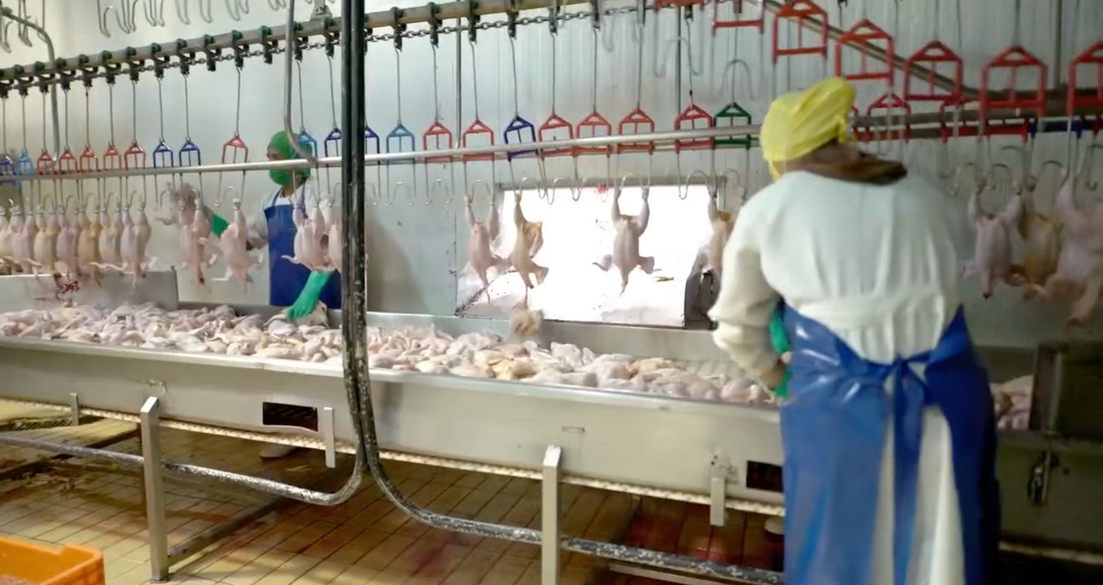 processing line 3