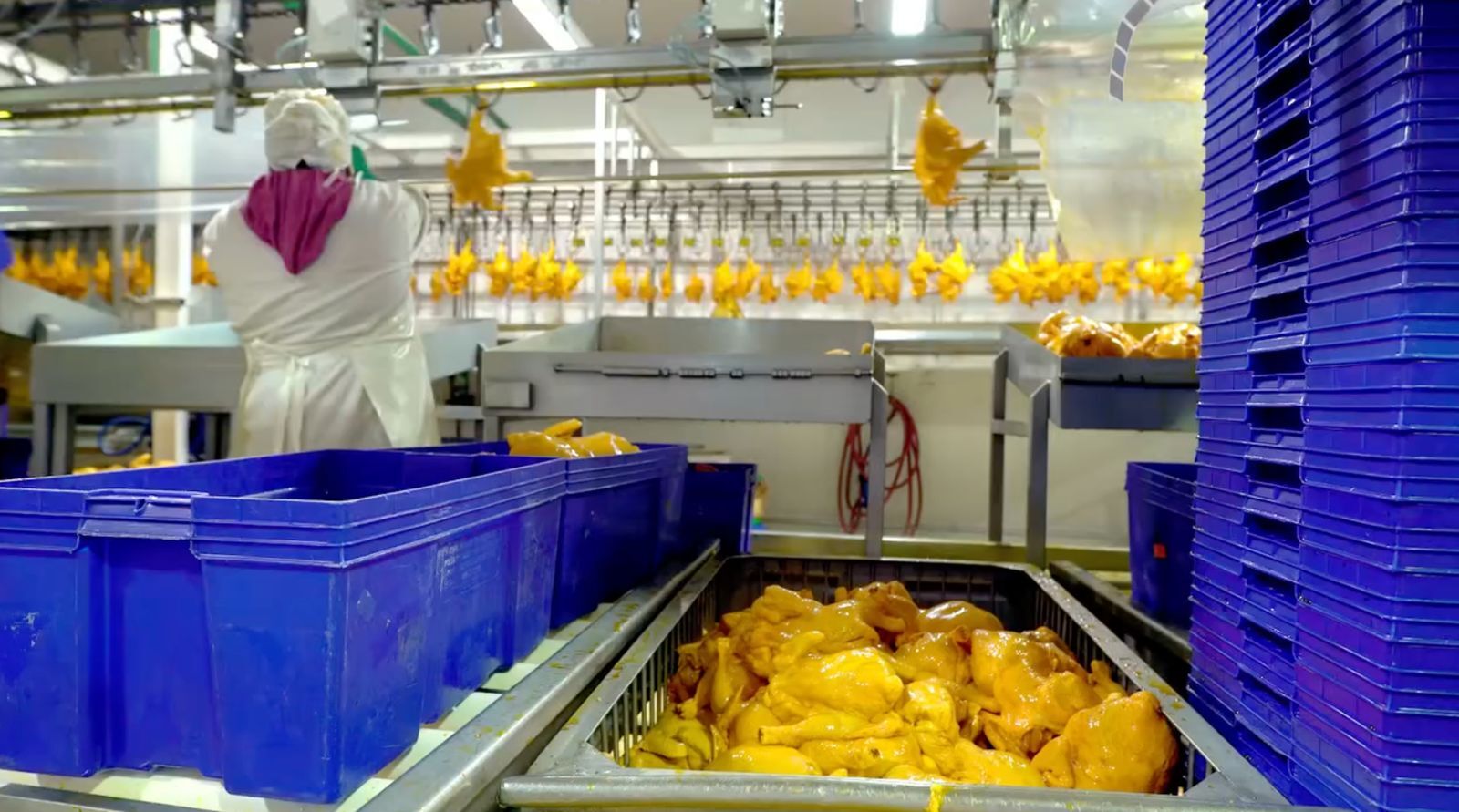processing line