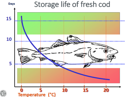 shelf life graphic